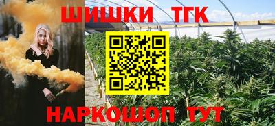 дмт Гусев