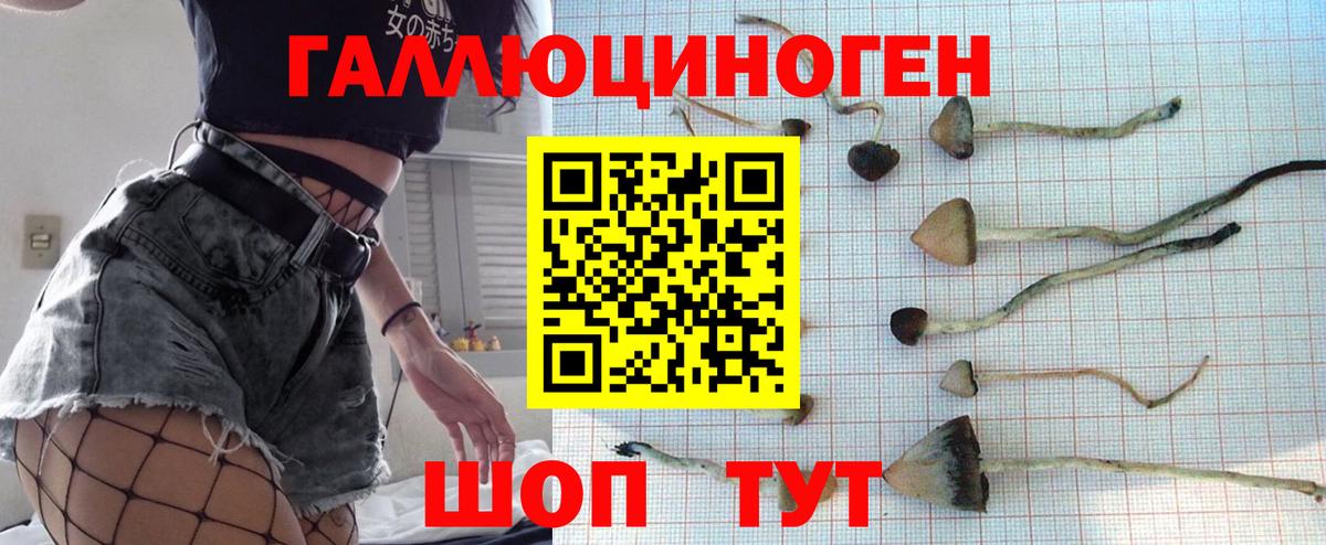 Галлюциногенные грибы GOLDEN TEACHER  Вход с VPN  купить закладку  Нижнекамск 